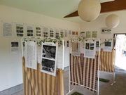 ]ˉƉĽV{aR_Ёi{j̓eʐ^6