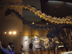 ܂܂̖kBŝ̂єقւ̓eʐ^1