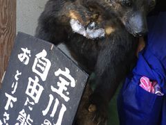 ۂ񑾂̕쉷@tւ̓eʐ^1