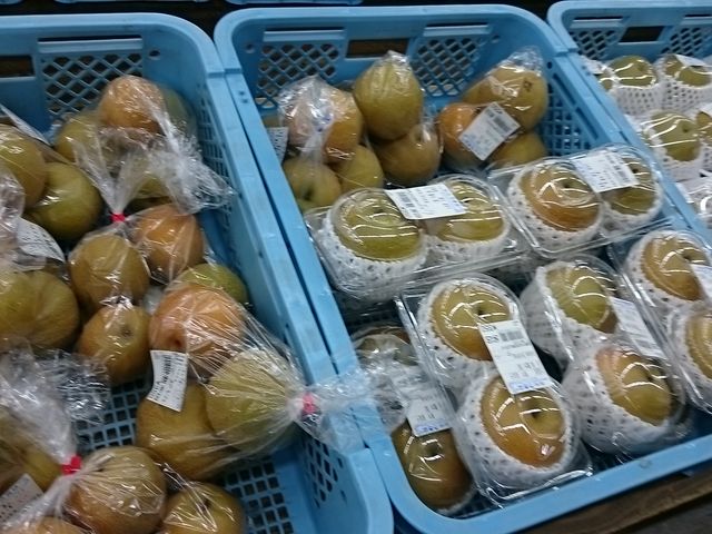 ����������_���̉w ������