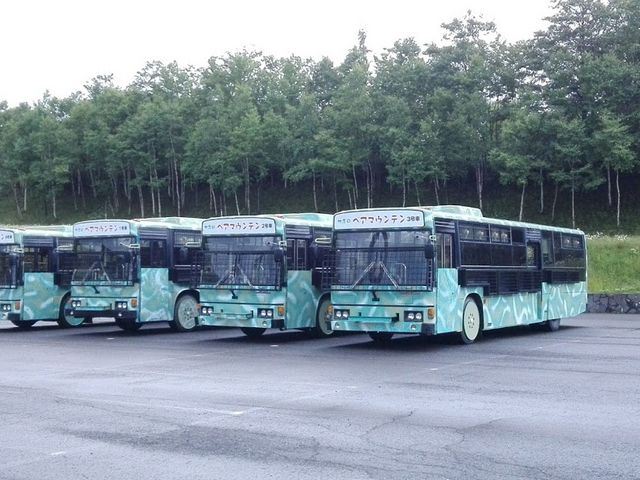 �������I�I
���̃o�X�ŁA�x�A�E�H�b�`���O������悤�ł��I�I(߄D�)_�T�z�����]�[�g�@�x�A�E�}�E���e��