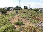 dai-neko̗dˌÕ̓eʐ^1