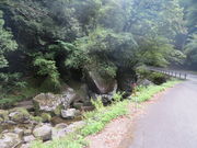 Ԃ񂳂̎Rڐ̌i̓eʐ^1