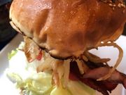 _Ccafe Captain Kangaroo LveJK[̓eʐ^1