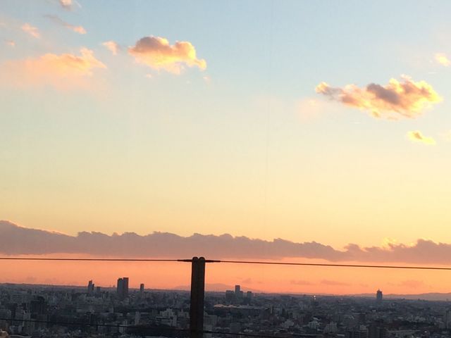 cinnamoñEW TEXR[g c}zeZ`[TU^[̓eʐ^1