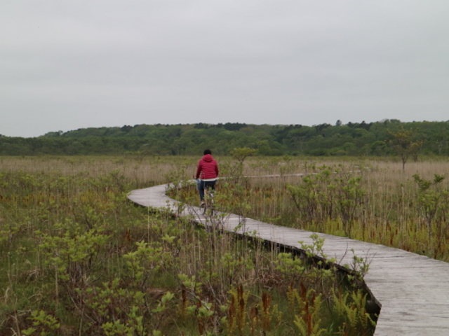 ]Ԃ؂ƎԒZkŉ̎jՂ܂ōs܂_WÒ|[jՎR