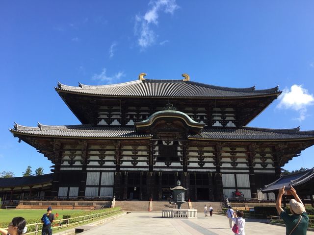 �������������̂ŁA�l�����Ȃ�������茩�邱�Ƃ��ł��܂����B���C�`���������߂ł��B_���厛����