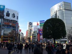 cinnamon̏aJwOXNu_ւ̓eʐ^1