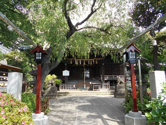 ���R�_��_���R�_��