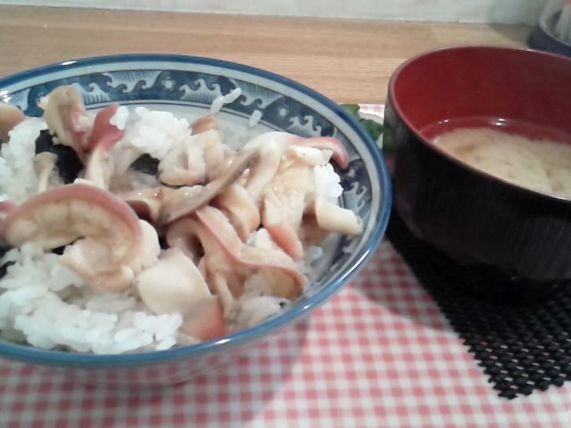 zbLo^[Ă_ނ풬Yuۂۂ񂽎sv