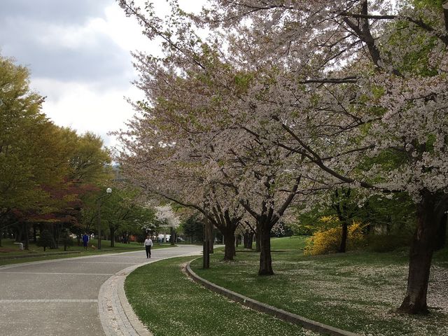 ������_��������