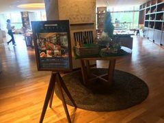 �Ȃׂ�������̃V�F���g���@�O�����f�@�I�[�V�������]�[�g�ւ̓��e�ʐ^1