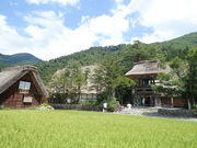 �}�C�a�n�n����̖��P�����y�ق̓��e�ʐ^1