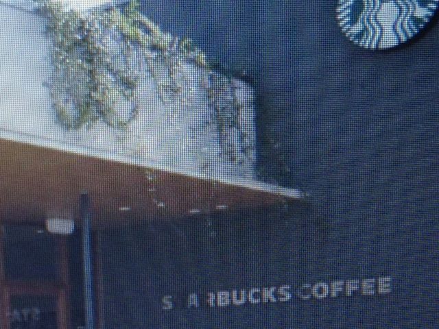 �X�^�[�o�b�N�X_��q�ʐ����