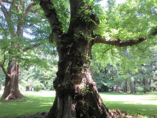 ����_�k�C����w�A����