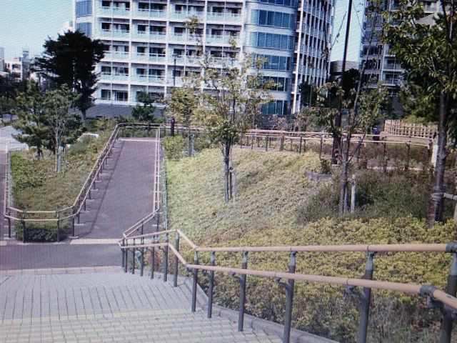 �L������_��q�ʐ����