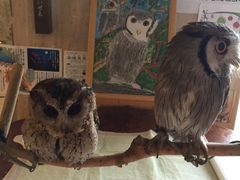 񂳂̘ã][g͂Âւ̓eʐ^1