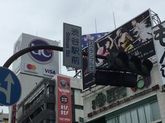 SAKURȀaJwOXNu_ւ̓eʐ^1