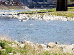 himaraya����̔�ː�ւ̓��e�ʐ^1