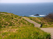 himarayảΘLEXQ̓eʐ^1