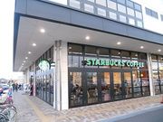 񂳂̃X^[obNXER[q[ TSUTAYAX̓eʐ^1