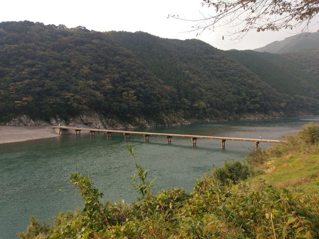 ��Ԓ������B
��̖����Ɠ��ȋ��ƁA�����ʂ����l���\��A���̖͂؁X���D�萬���i�F�͔����������ł��B_�l���\�여��