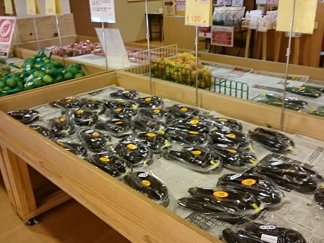 ٓł͖؂̔_VRRi̓ qX