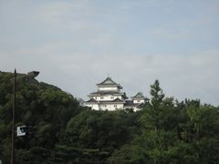 hocsai̘a̎Rւ̓eʐ^1