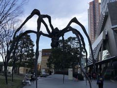 cinnamon̘Z{؃qYւ̓eʐ^1