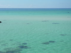 ^񂳂̈ɗǕEnւ̓eʐ^1