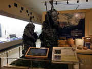 ��������^������񂳂�̋{�Ó��s���������ق̓��e�ʐ^1