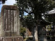 Yanwenli����̐Ԑl���̓��e�ʐ^3