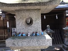 ���ׂ����񂳂�̎O����{�ւ̓��e�ʐ^3