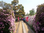 ̂񂽂񂳂̖@_y@_Tz̓eʐ^2