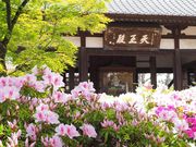 ̂񂽂񂳂̖@_y@_Tz̓eʐ^3