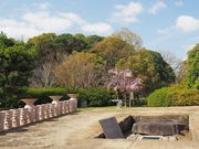 ̂񂽂񂳂̍PRÕ̓eʐ^1