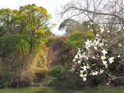 ̂񂽂񂳂̍PRÕ̓eʐ^2