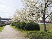 ̂񂽂񂳂̍PRÕ̓eʐ^3