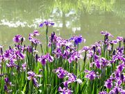 ̂񂽂񂳂̔ niVEu̓eʐ^2