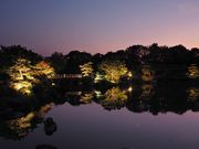 ̂񂽂񂳂̑E{뉀̓eʐ^4