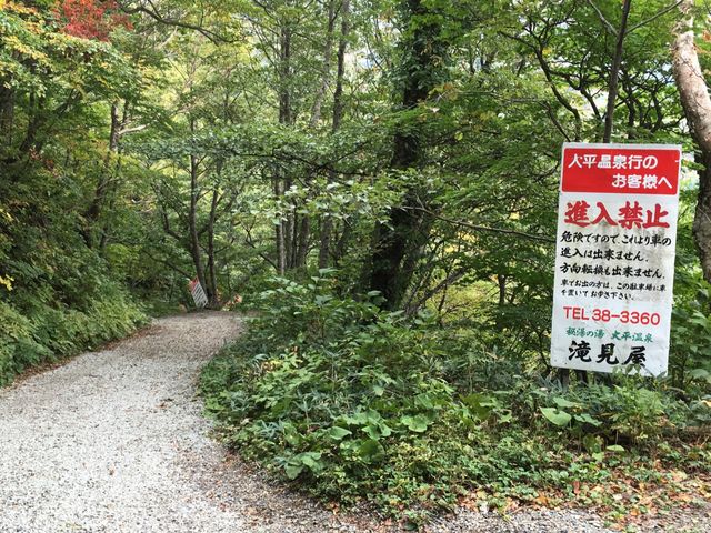 �Ԃ̉^�]����ςł����A�~��Ă����20���̌��z�̂���g���b�L���O�ł��B_�啽����