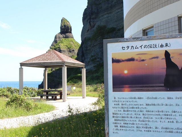 �`�����Љ��Ă��܂�_�Z�^�J���C��