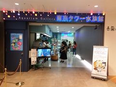 東京タワー水族館の口コミ一覧 じゃらんnet