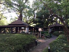 KAZ̓{뉀izej[I[^jjւ̓eʐ^1