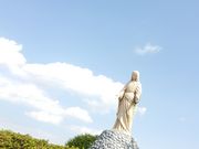 ڗ̏@@l啪gsXgC@ٍH̓eʐ^1