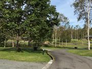 RI肳̉̍˃I[gLvꃋEsbN̓eʐ^1