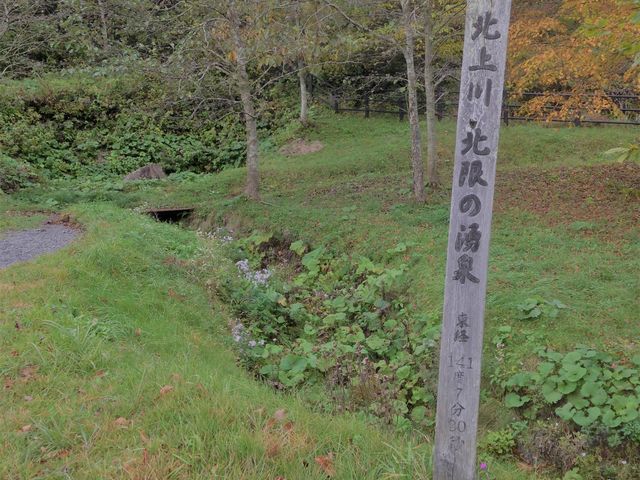 �k���k���̌���_�c�㕽����