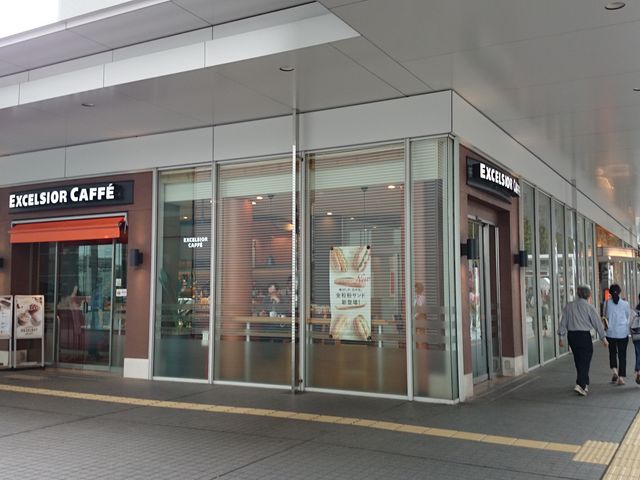 ڗ̃GNZVI[JtFܐVsShANVX^[X̓eʐ^1