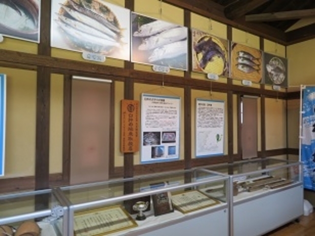 �T�[���E�f�E�������@�M�������[_�T�[���E�f�E������