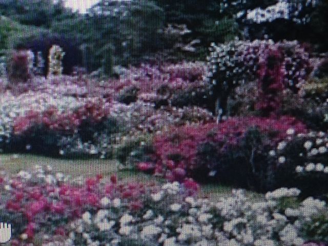 �o����_�����o����